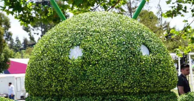 DOJ Considers "Splitting Off" Chrome and Android From Google